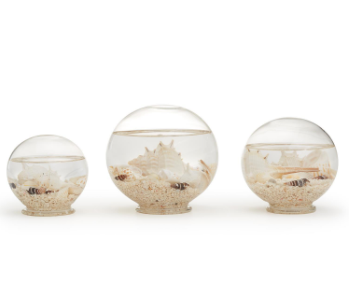 Decorative Filled Sealife Globes Large