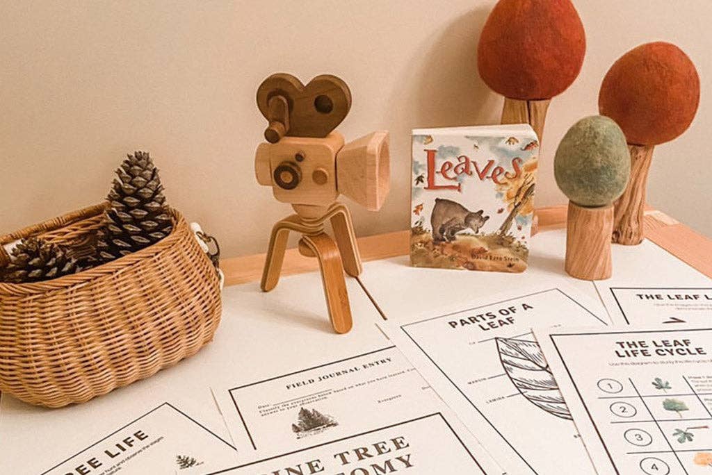 Super 16 Pro Wooden Toy Camera With Tripod