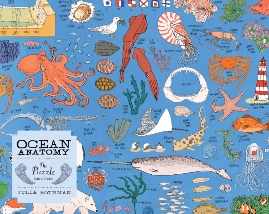 Ocean Anatomy Puzzle